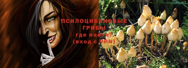 гашик Абинск