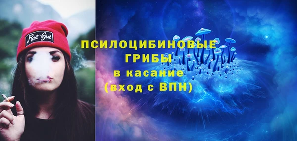 гашик Абинск